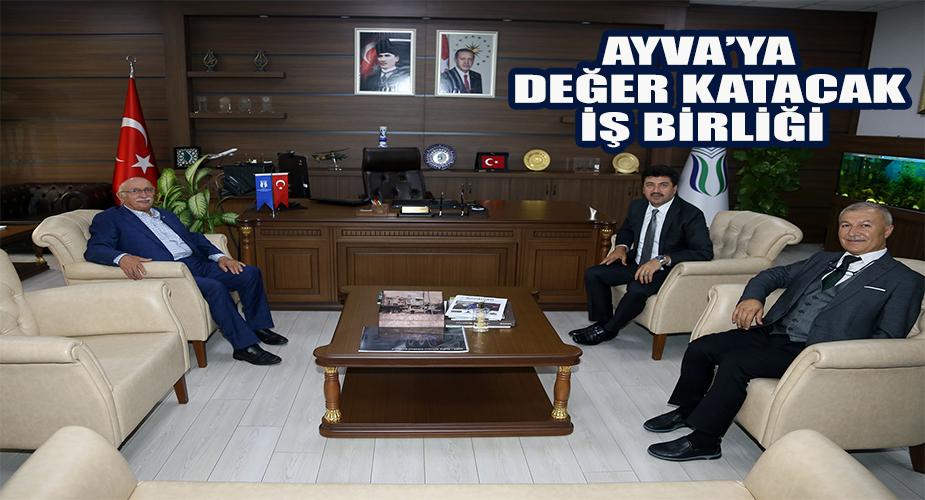 Ayvaya değer katacak iş birliği