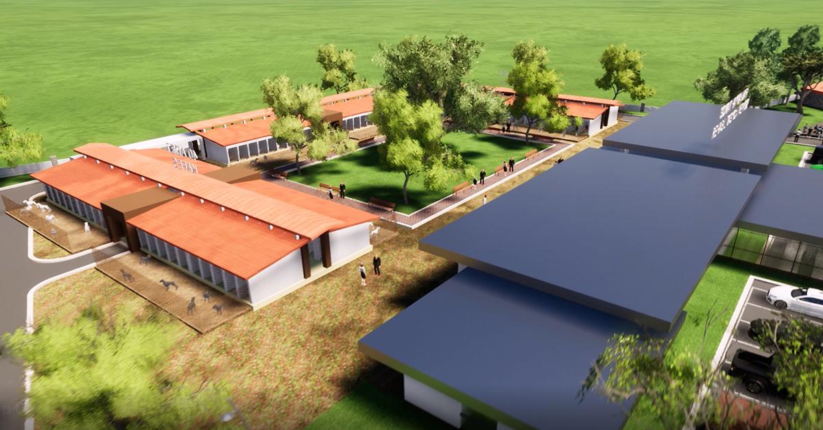 Sokak Hayvanları Rehabilitasyon Merkezi İhaleye Çıkıyor